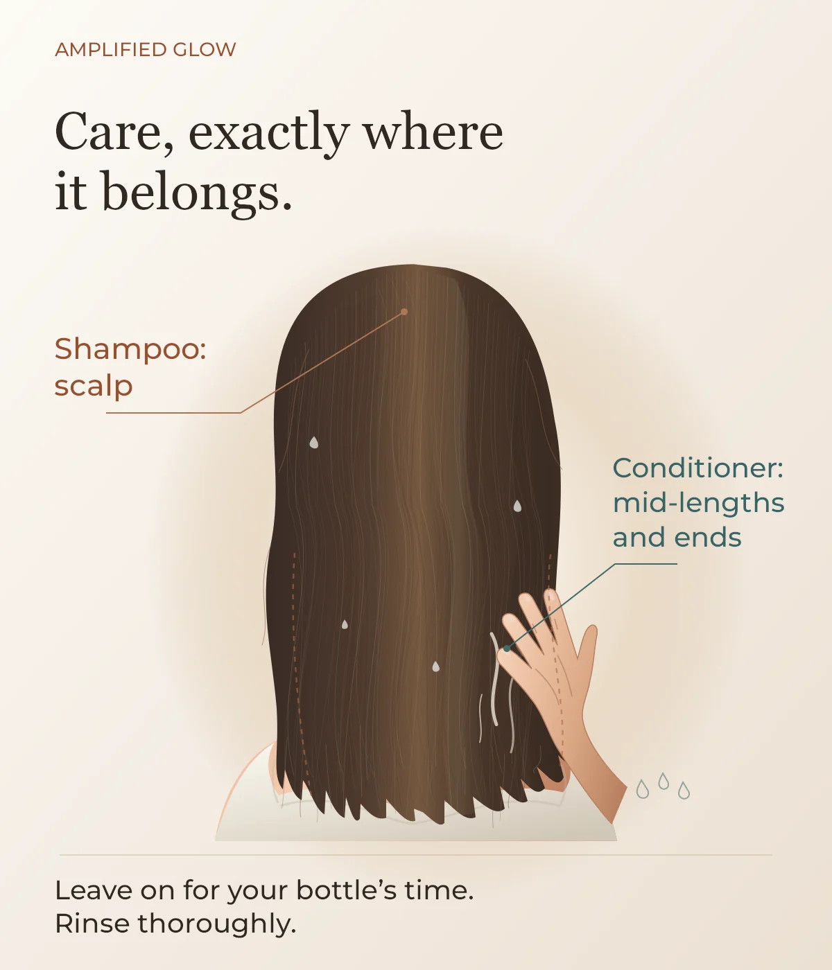 Illustration of wet hair with a hand smoothing rinse-out conditioner through the mid-lengths and ends, with a separate scalp-shampoo callout.